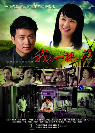 赵丽娟(娟子（影视演员）)