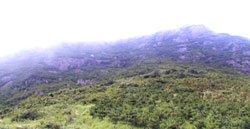 大青山(浙江舟山群岛朱家尖岛南端一座山) 大青山(浙江舟山群岛朱家尖岛南端一座山)