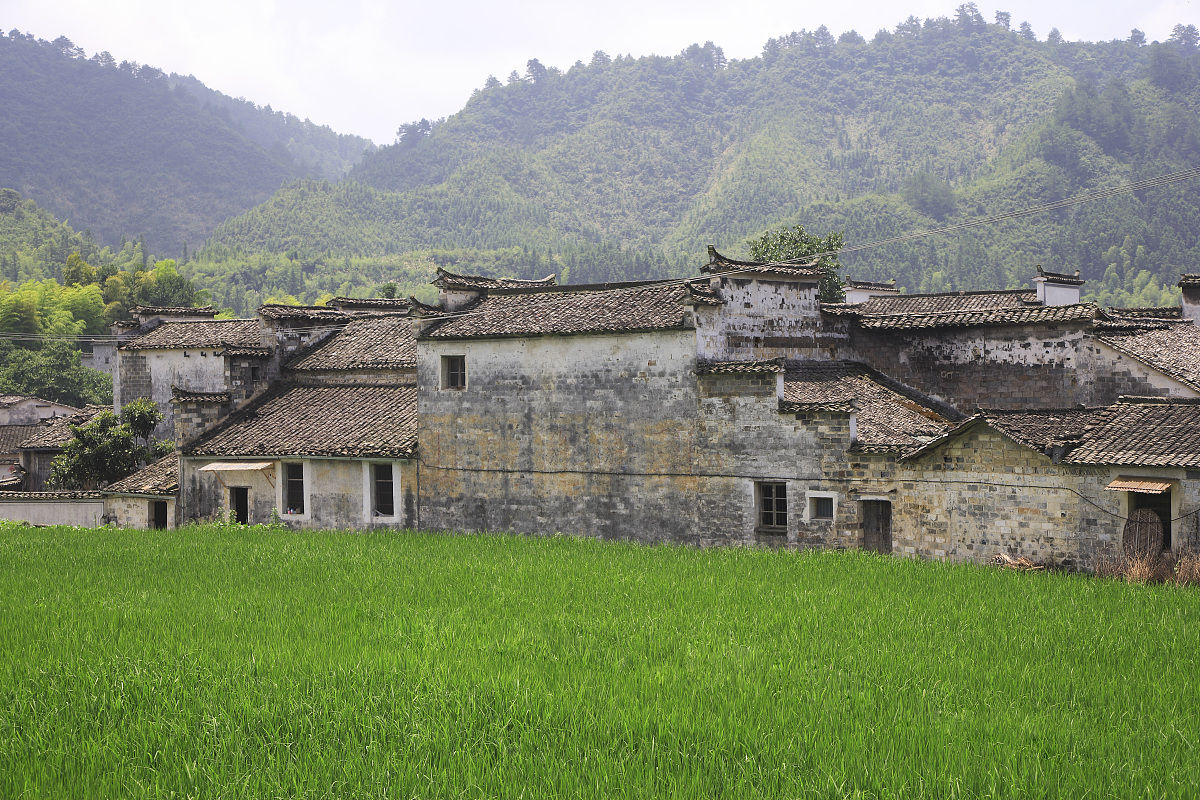 山东省龙口市沟东成家村 山东省龙口市沟东成家村