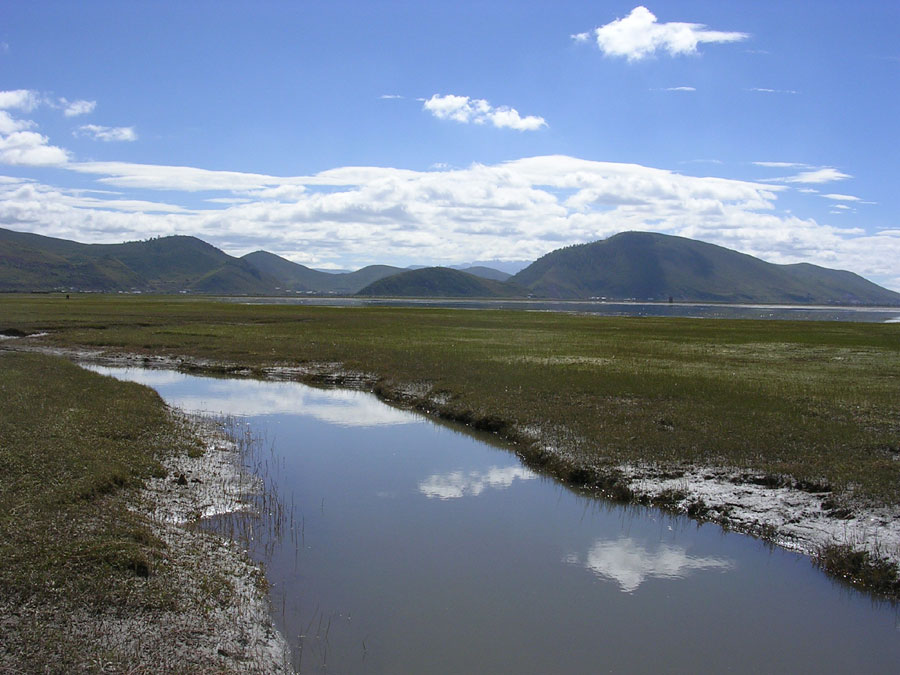 沼泽地(泥泞地区) 沼泽地(泥泞地区)