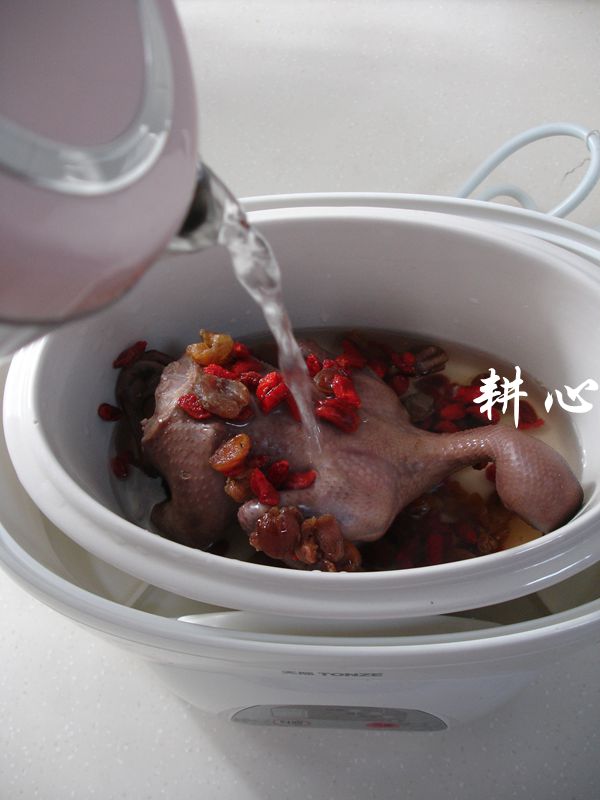 桂圆枸杞鸽子汤