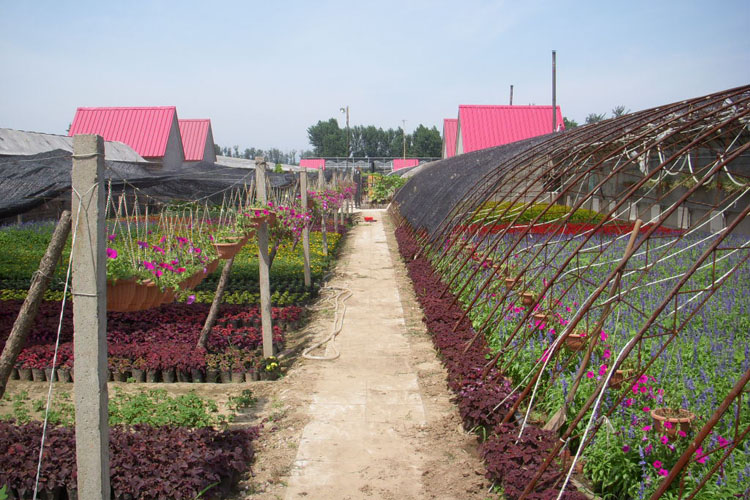 花园村(北京市怀柔区杨宋镇) 花园村(北京市怀柔区杨宋镇)