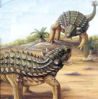甲龙 甲龙