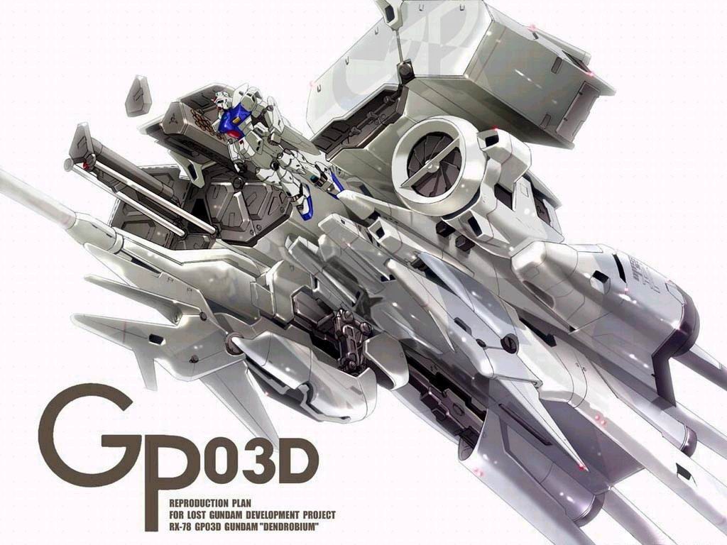 GP03D石斛兰 GP03D石斛兰