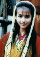 白髮魔女传(1994年蔡少芬主演香港电视剧)