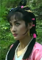 白眉大侠(1995年王文杰执导电视剧)