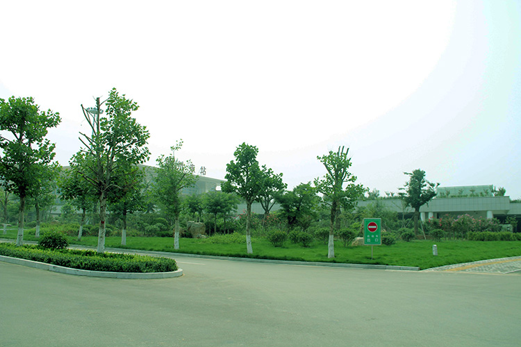 东沙河镇 东沙河镇