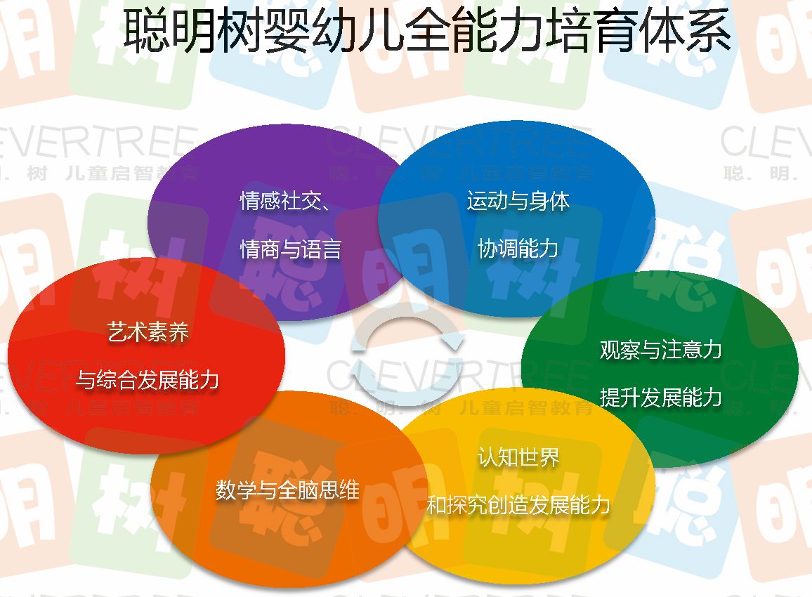 聪明树 聪明树