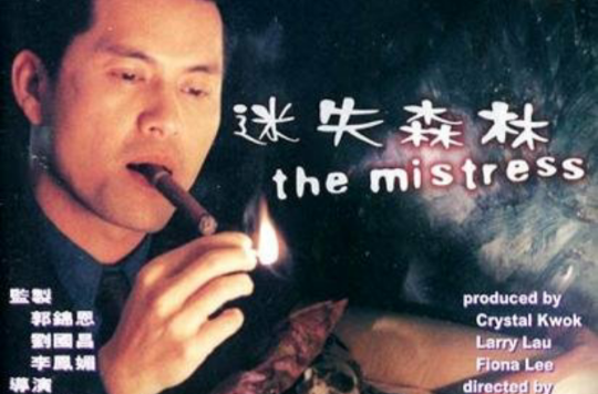 迷失森林(1996年郭锦恩导演电影) 迷失森林(1996年郭锦恩导演电影)