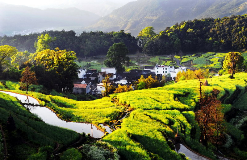 江岭村(广西玉林市兴业县大平山镇下辖村) 江岭村(广西玉林市兴业县大平山镇下辖村)