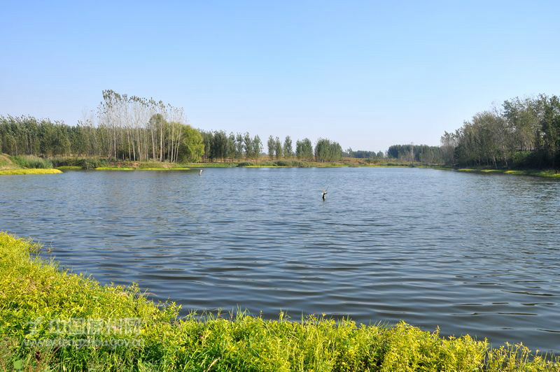 吕坡河 吕坡河
