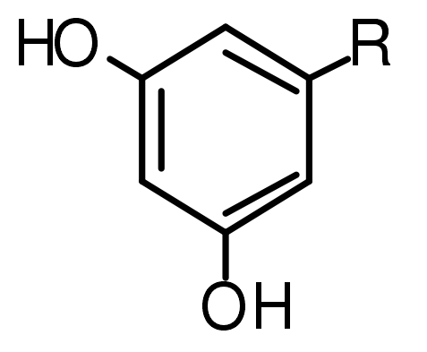 白果二酚 白果二酚
