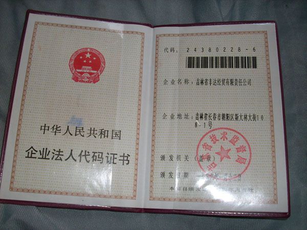 法人代码 法人代码