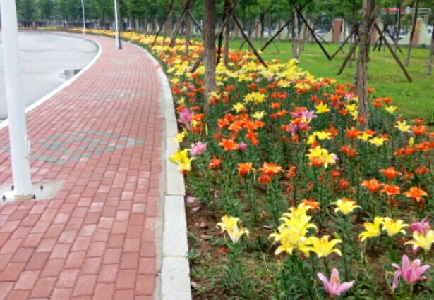 葫芦岛市第一高级中学 葫芦岛市第一高级中学