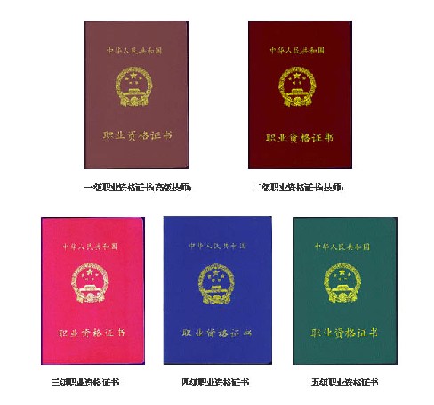 医师资格证书 医师资格证书