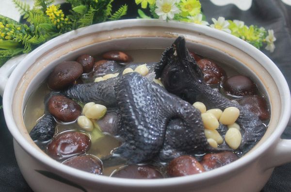 银杏银耳乌鸡煲 银杏银耳乌鸡煲