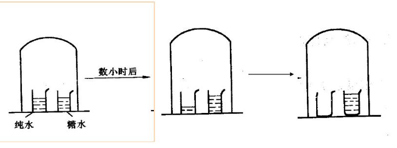 依数性 依数性