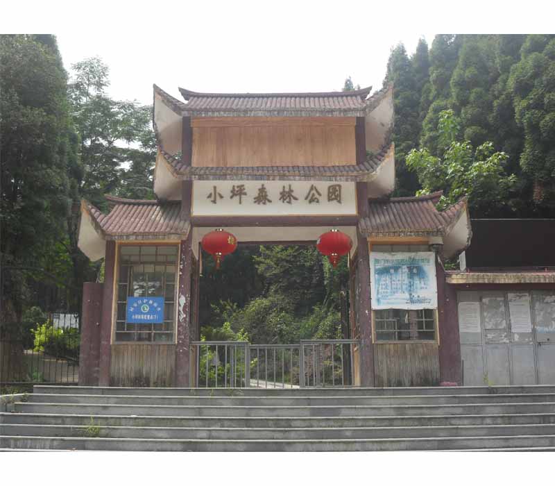 小坪森林公园 小坪森林公园