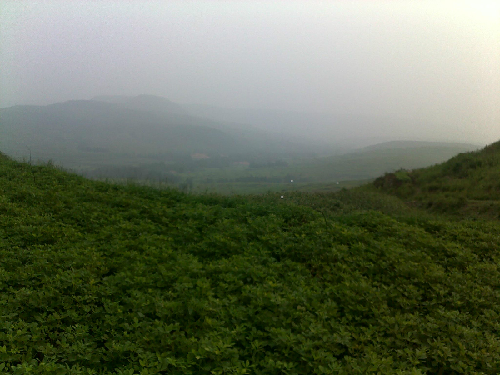 郚山镇 郚山镇