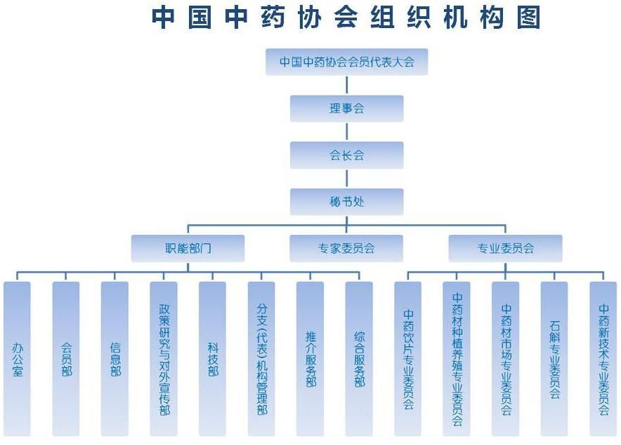 组织结构图 组织结构图