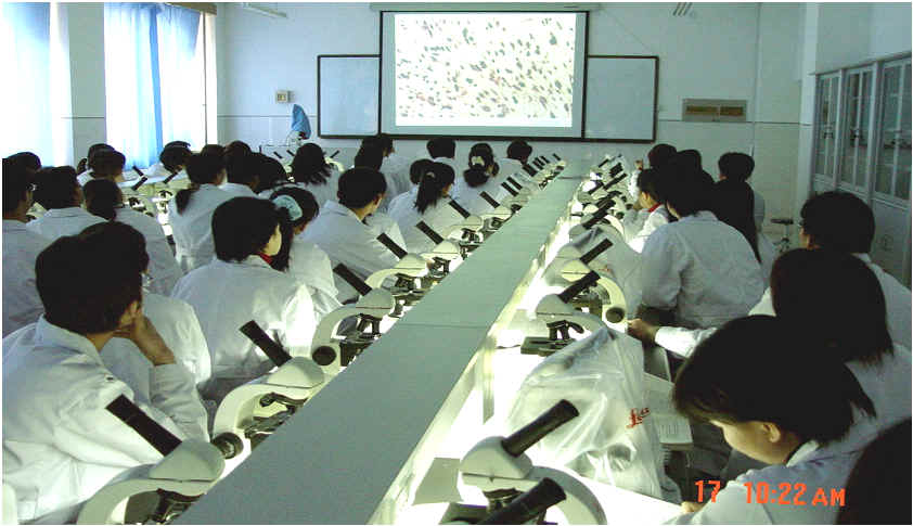 河北大学医学部 河北大学医学部