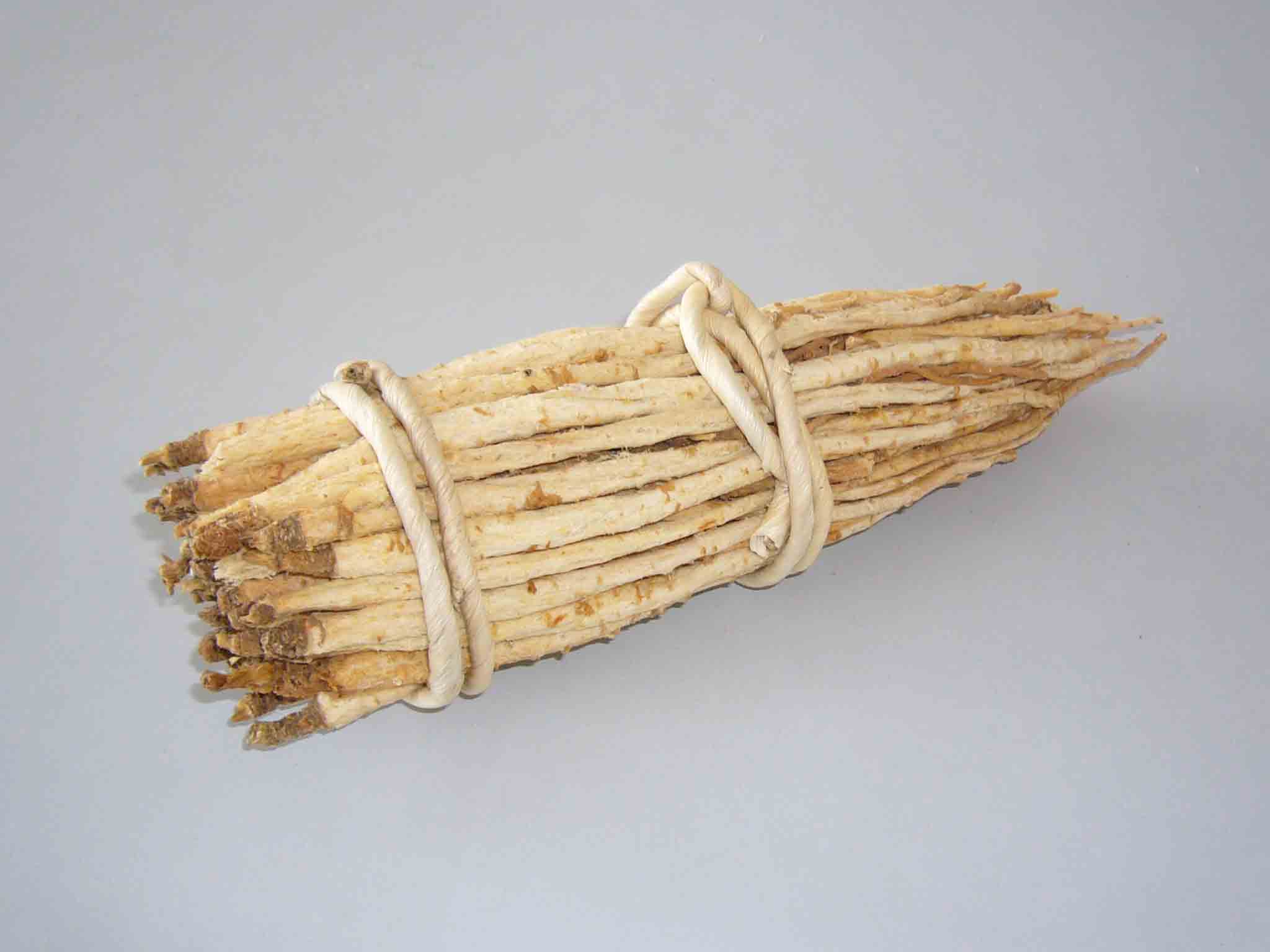 沙参 沙参