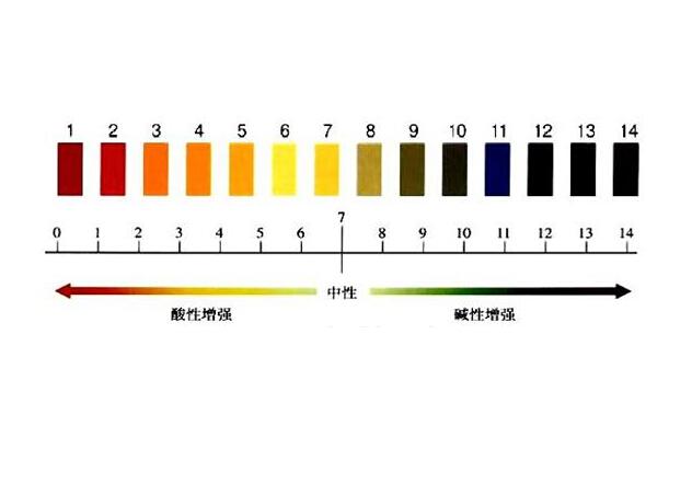 酸硷度 酸硷度