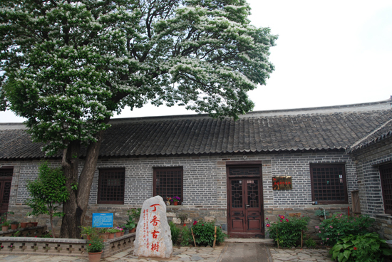 梨乡风情旅游区 梨乡风情旅游区
