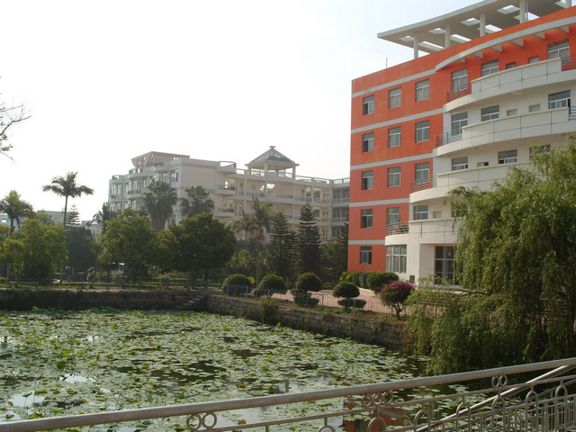 美丽的校园 美丽的校园