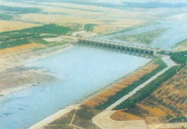 杨桥 杨桥