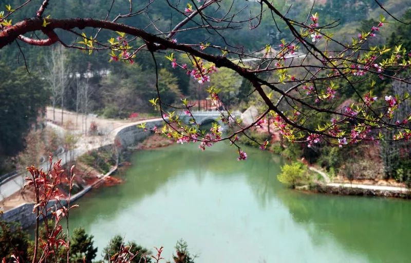 桃花寨(浙江舟山桃花寨) 桃花寨(浙江舟山桃花寨)