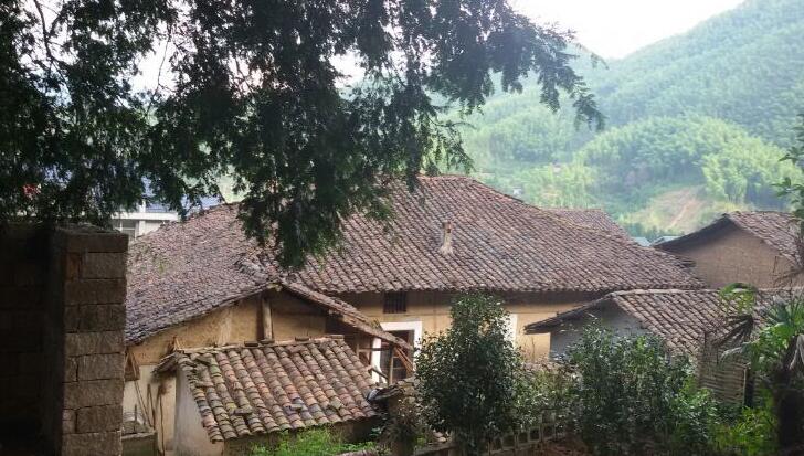 廿墩村 廿墩村