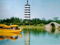 中国茶花文化园 中国茶花文化园
