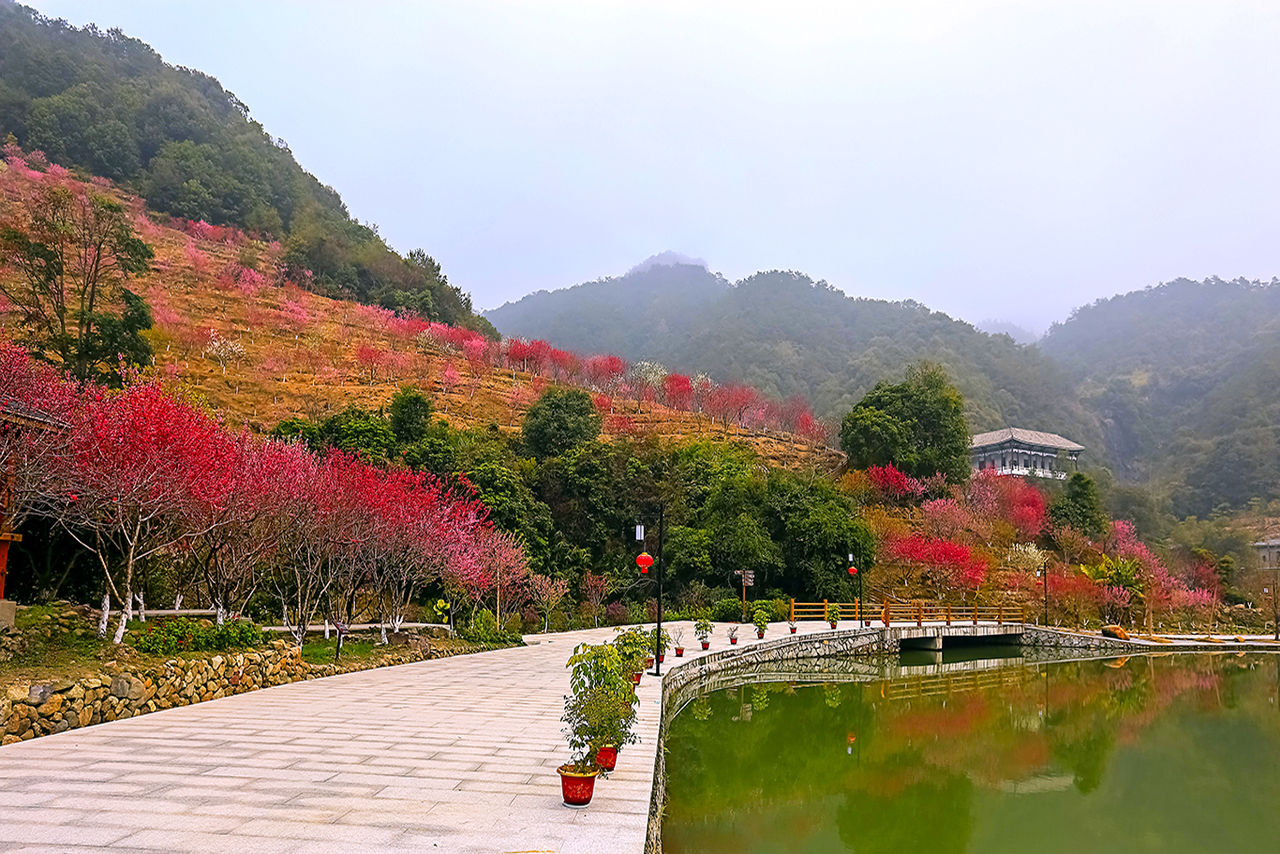 四川红泉桃花谷国际乡村旅游景区 四川红泉桃花谷国际乡村旅游景区