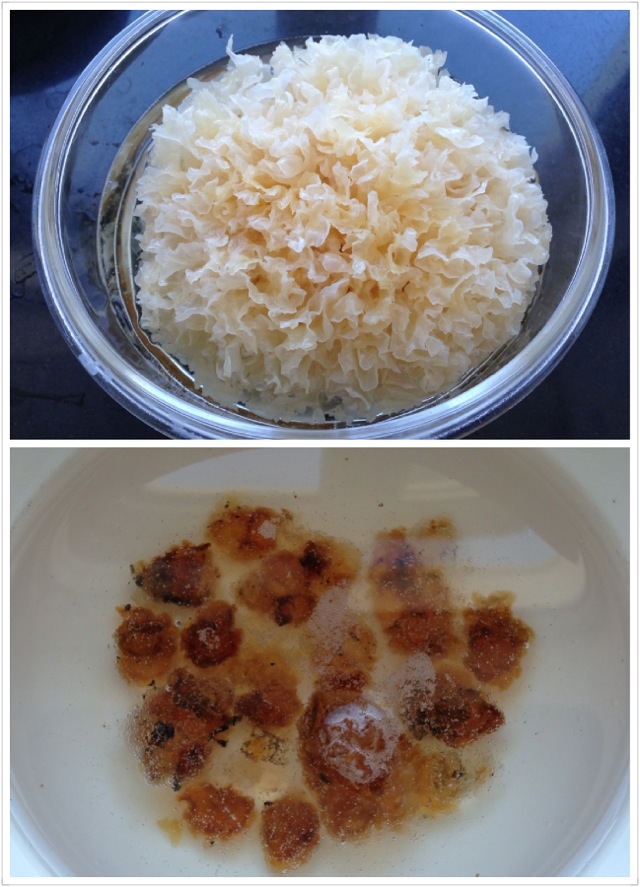 银耳桃胶牛奶羹