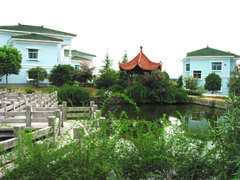 花园村(安徽省铜陵市枞阳县陈瑶湖镇下辖村) 花园村(安徽省铜陵市枞阳县陈瑶湖镇下辖村)