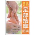 速效对症足部按摩图典 速效对症足部按摩图典