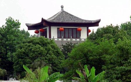 中国茶文化园风光 中国茶文化园风光