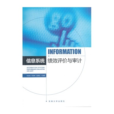 信息技术审计 信息技术审计