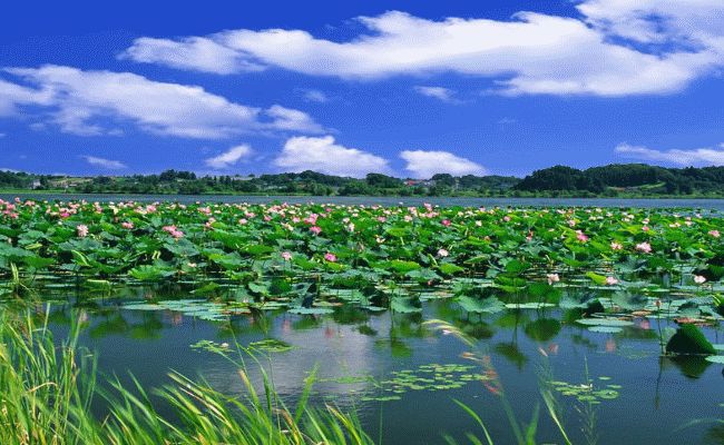古滕八景 古滕八景
