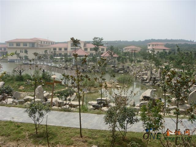 江南孔雀园宾馆吃饭的地方 江南孔雀园宾馆吃饭的地方