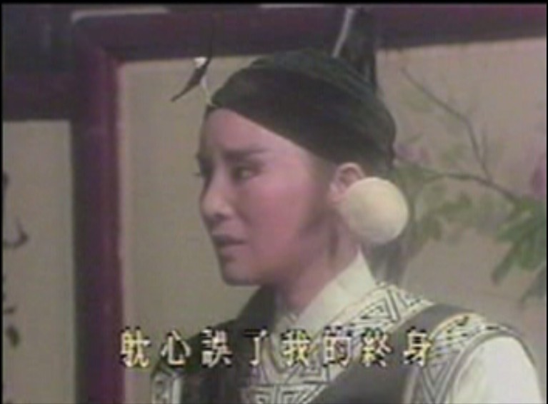 杨家将歌仔戏 杨家将歌仔戏
