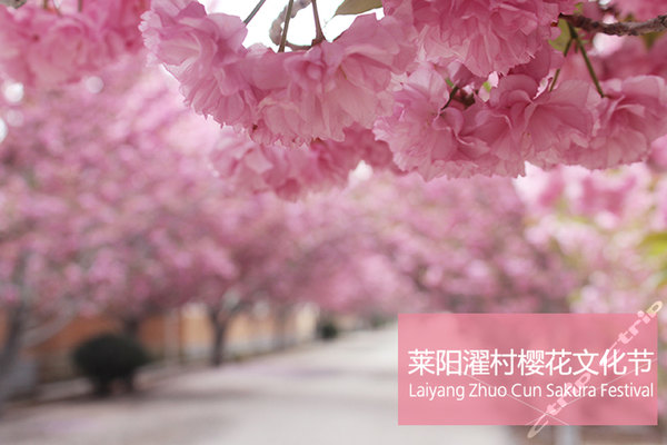 濯村 濯村