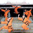 南少林五行拳 南少林五行拳