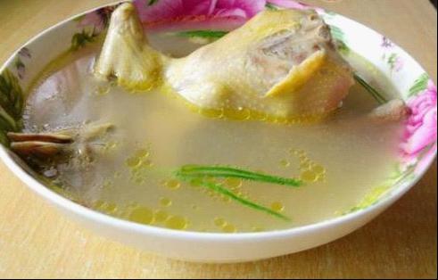 清炖鸽子 清炖鸽子