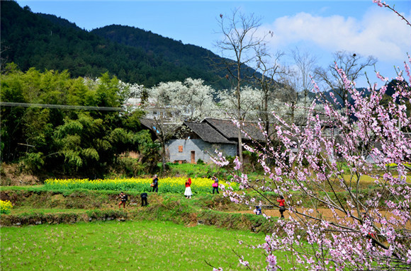 沙坪村(昭通大关县悦乐镇下辖村) 沙坪村(昭通大关县悦乐镇下辖村)
