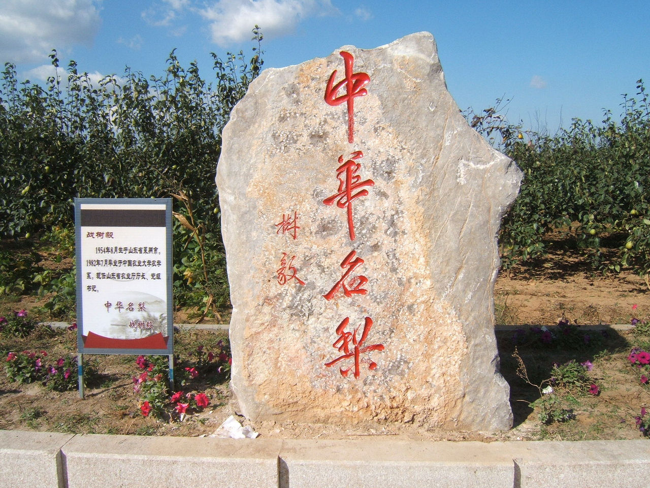 梨乡风情旅游区 梨乡风情旅游区