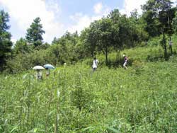 小坪森林公园 小坪森林公园