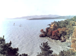 滨湖区风景 滨湖区风景