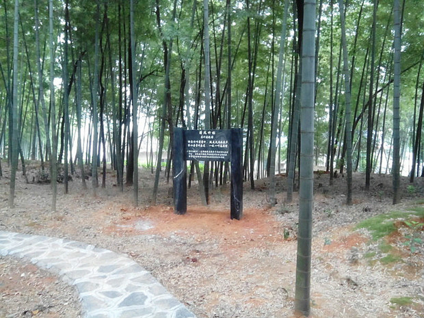 乌山(乌山森林生态公园) 乌山(乌山森林生态公园)